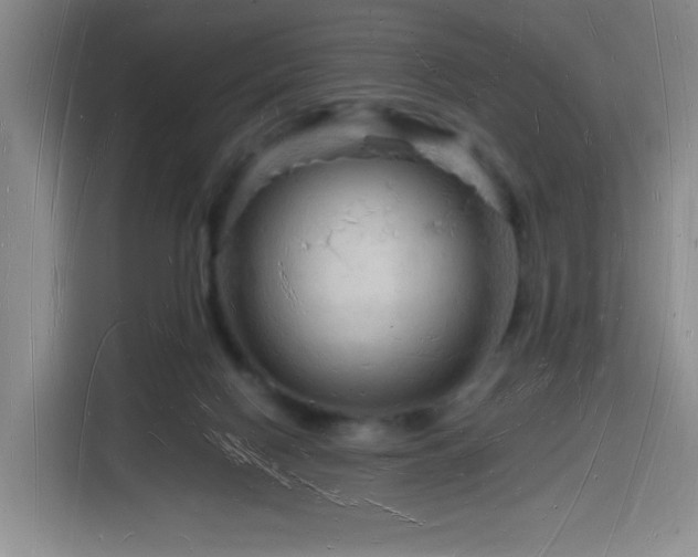X0000116130074200911231243