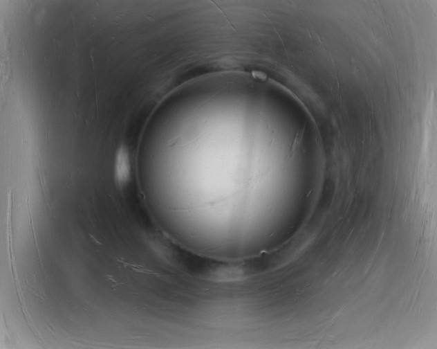X0000116130075200911231244