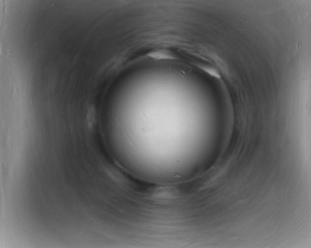 X0000116130077200911231244
