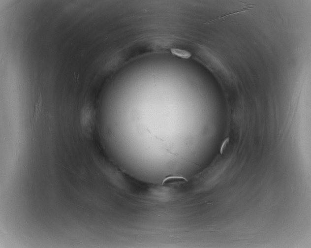 X0000116130079200911231244
