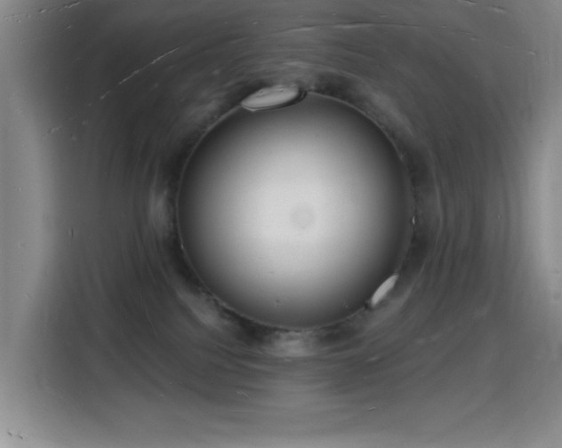X0000116130088200911231244