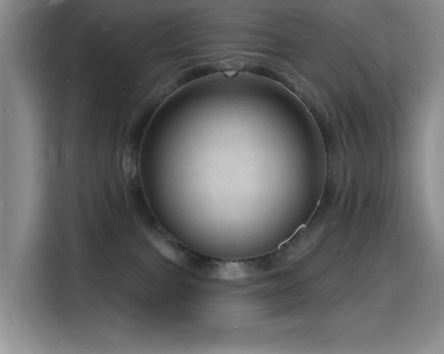 X0000116130091200911231244