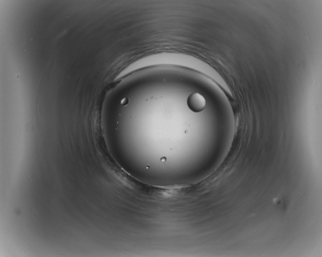 X0000116130092200911231244