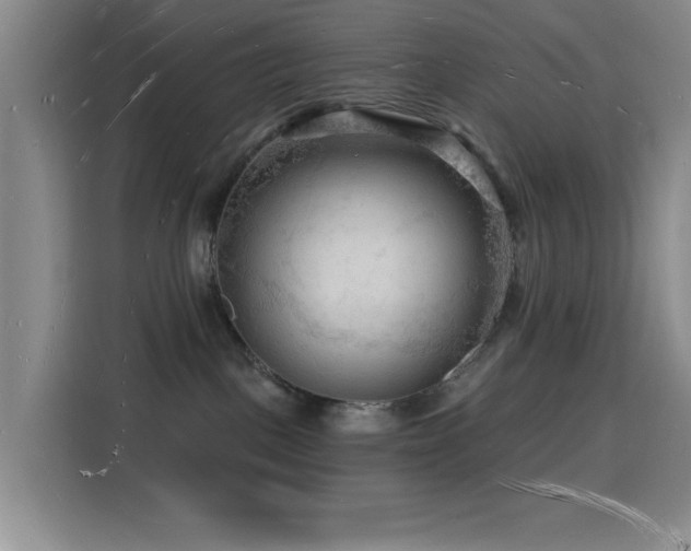 X0000116130093200911231244