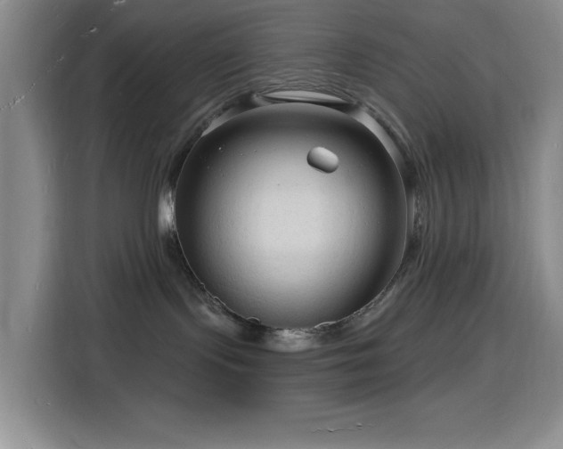 X0000116130095200911231244