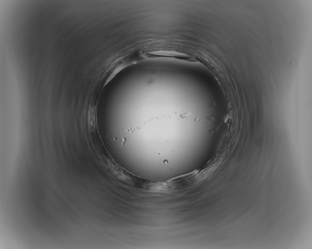 X0000116130096200911231244