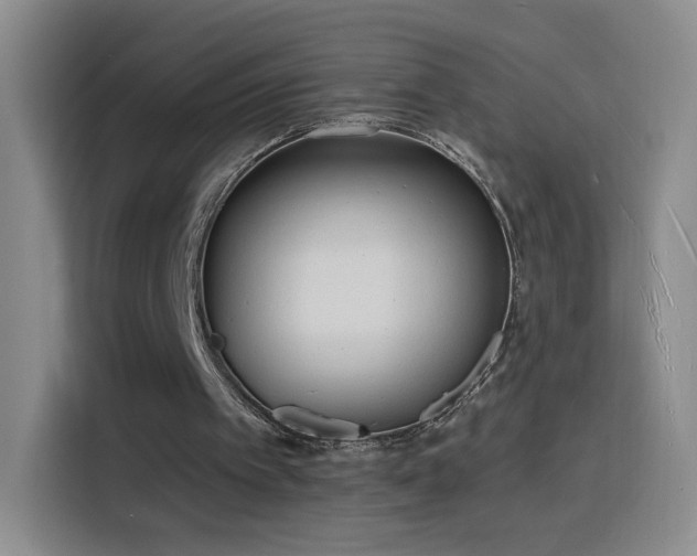 X0000116130097200911231243