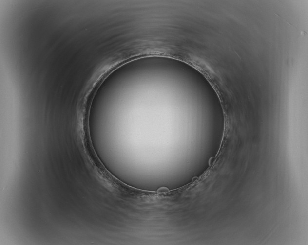 X0000116130098200911231243