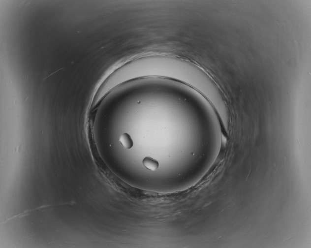 X0000116130100200911231243