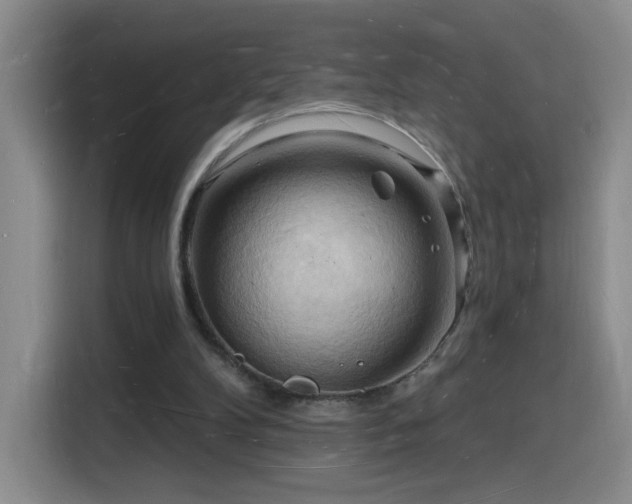 X0000116130104200911231243
