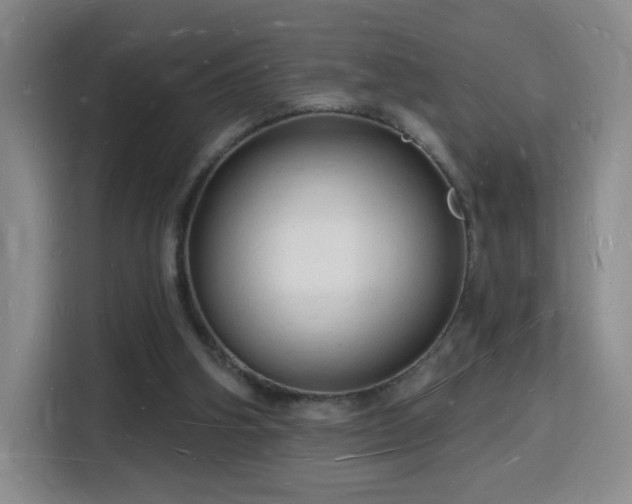 X0000116130106200911231243