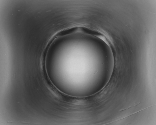 X0000116130107200911231243
