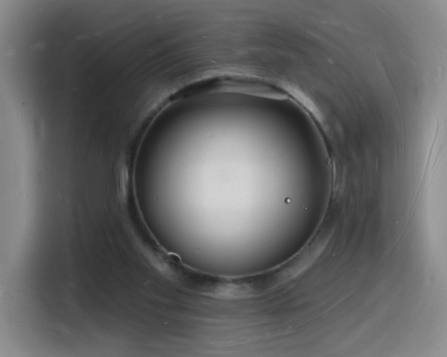X0000116130109200911231243