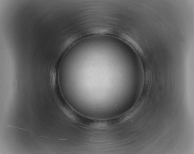 X0000116130110200911231243