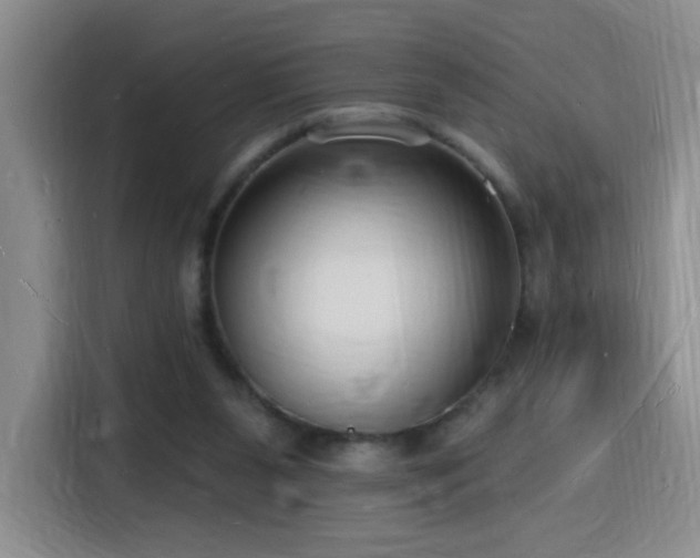 X0000116130111200911231243