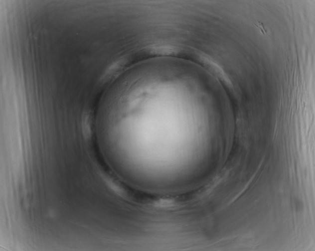 X0000116130114200911231243