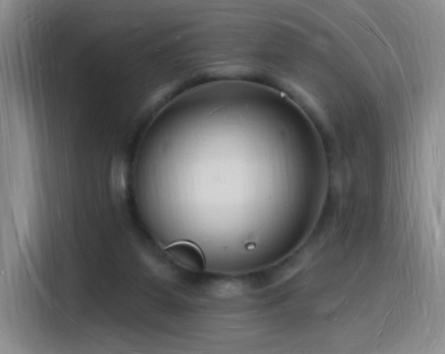 X0000116130115200911231243