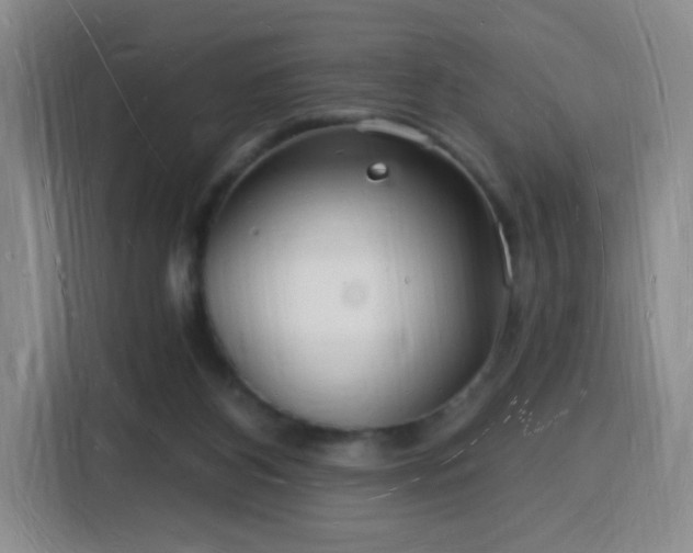 X0000116130116200911231243