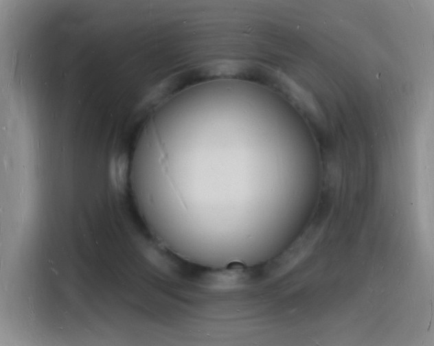 X0000116130118200911231243