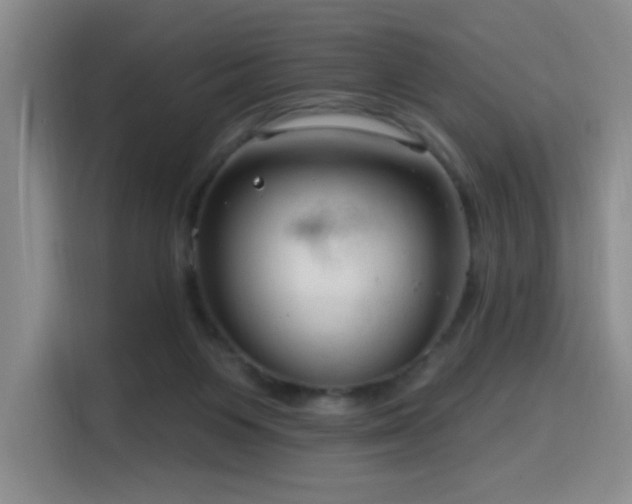 X0000116130119200911231243