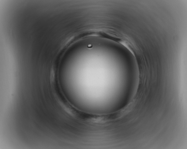 X0000116130120200911231243