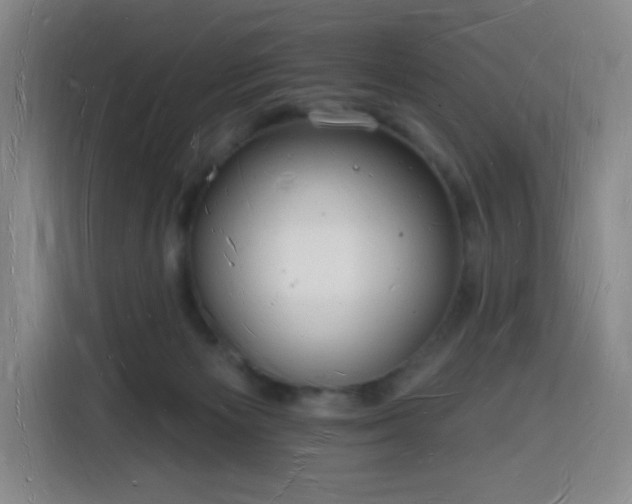 X0000116130125200911231243