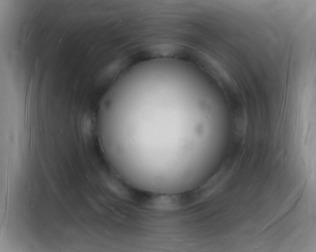 X0000116130126200911231243