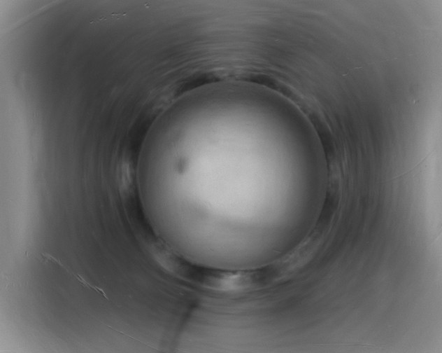 X0000116130130200911231243