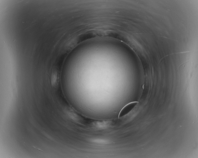 X0000116130134200911231243