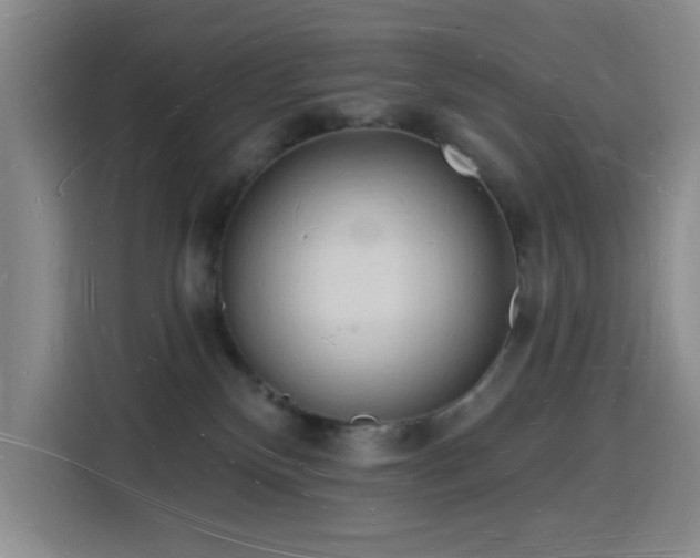 X0000116130136200911231243