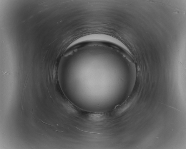 X0000116130139200911231243