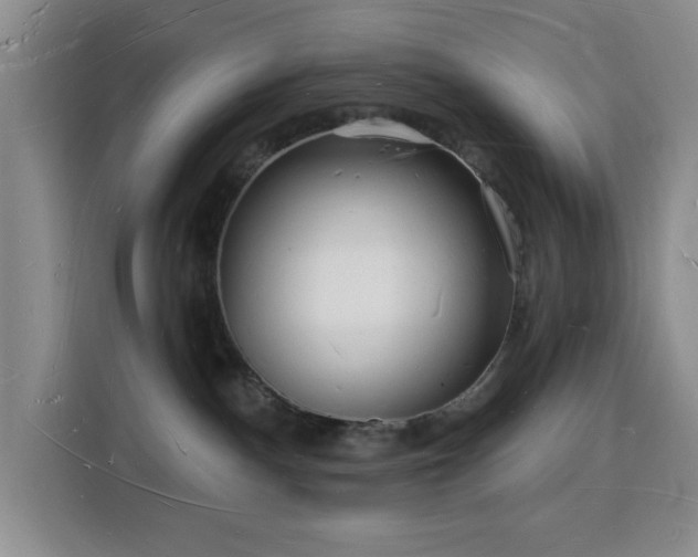 X0000116130140200911231243