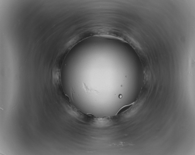 X0000116130141200911231243