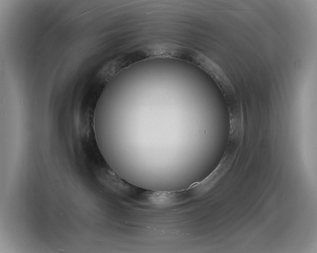 X0000116130142200911231243