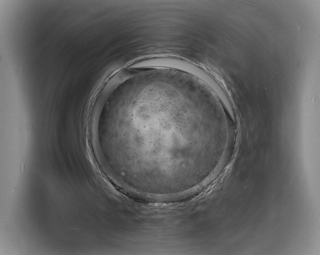 X0000116130145200911231242