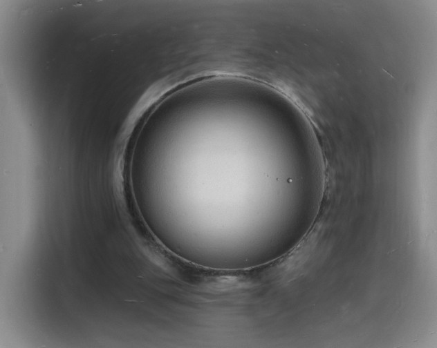X0000116130151200911231242