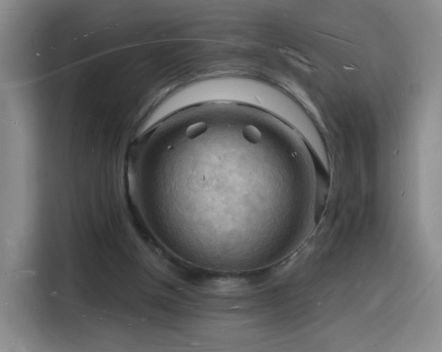 X0000116130154200911231242