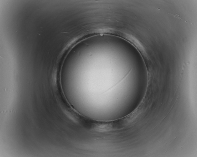 X0000116130155200911231242