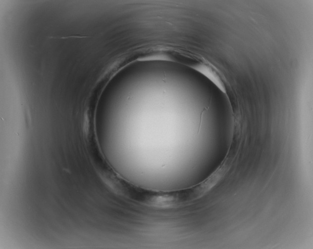 X0000116130158200911231242