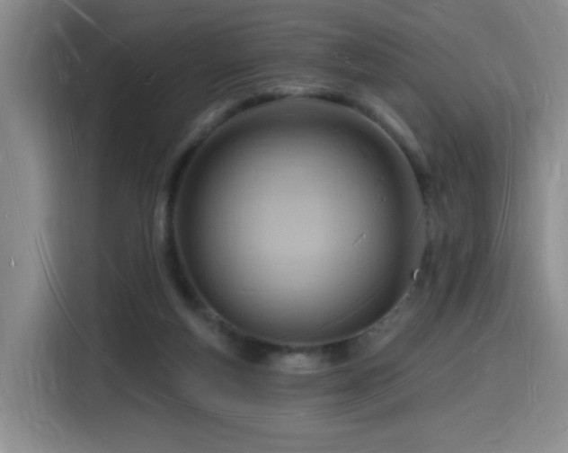 X0000116130163200911231242