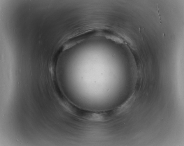 X0000116130166200911231242