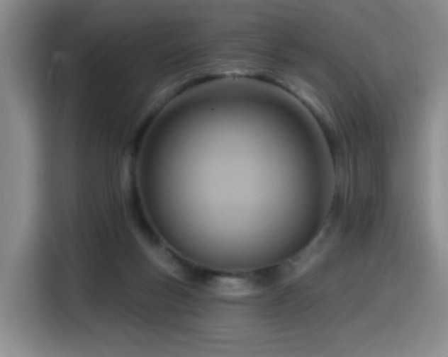 X0000116130167200911231242