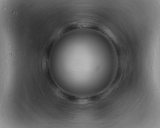 X0000116130169200911231242