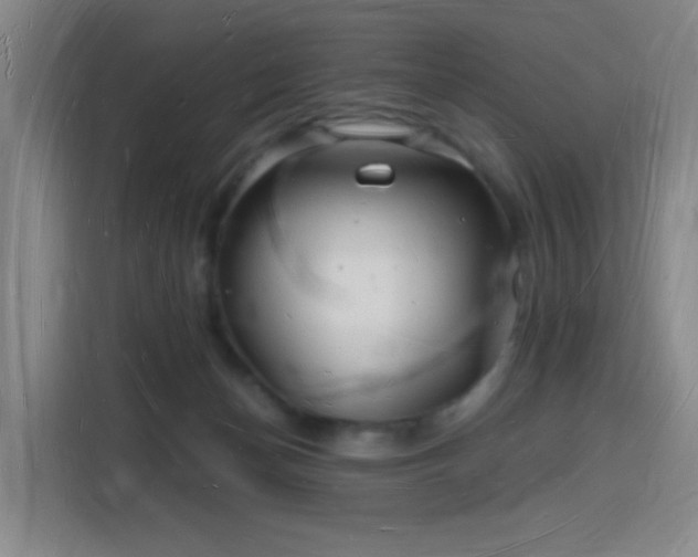X0000116130174200911231242