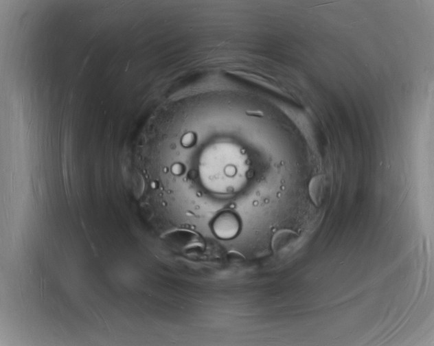 X0000116130175200911231242