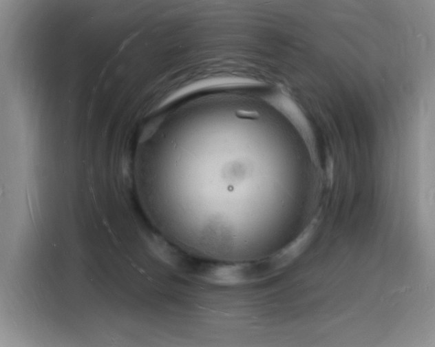 X0000116130178200911231242