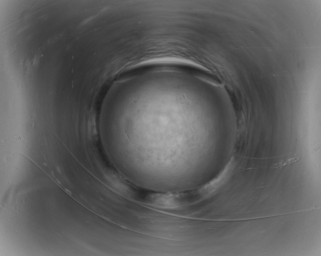 X0000116130182200911231242