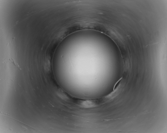 X0000116130183200911231242