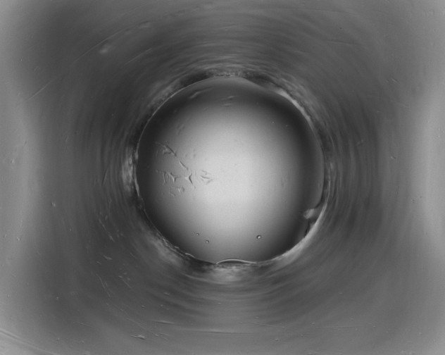 X0000116130190200911231243