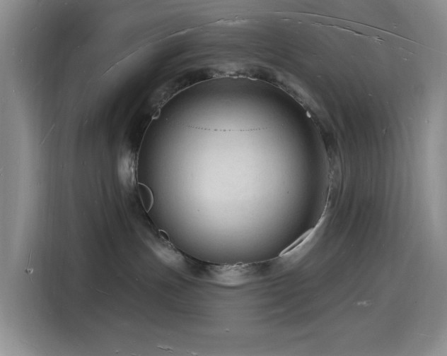 X0000116130191200911231243